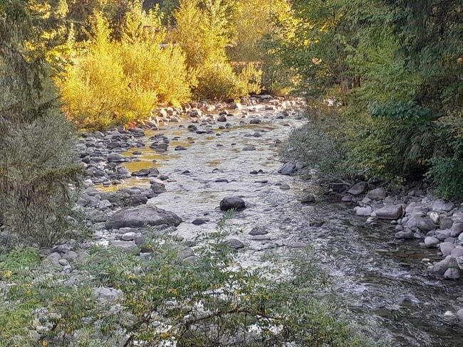 Foto del edificio - 1/2 off 1st Month's Rent ! Country Setting Single Wide Manufactured Home Silverbrook RV Park