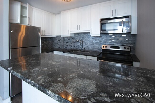 Foto del edificio - 1355 N Sandburg Terrace