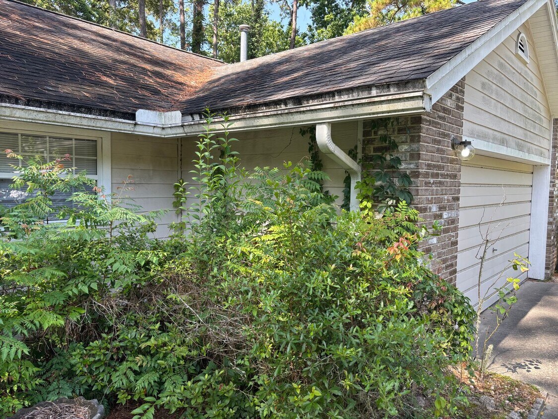 Primary Photo - AVAILABLE NOW!!! BEAUTIFUL 3 BEDROOM HOME