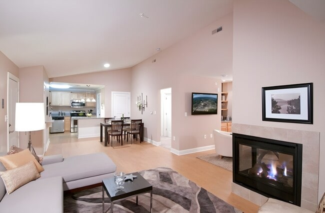 Building Photo - The Woods