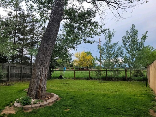 Photo - Pre-Lease Avail. 06/01 - Open & Bright, Updated Flooring, W/D Available House