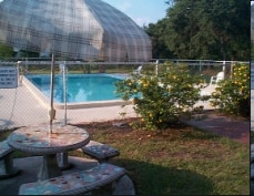 Pool - Beltrees Plaza