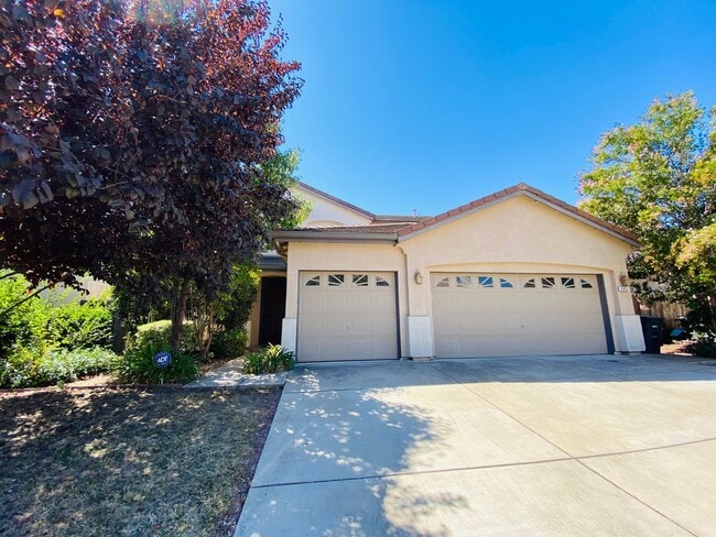 Building Photo - Spacious and Beautiful Home Close to a Huge Park