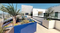 This expansive rooftop terrace showcases a contemporary design characterized by clean white architectural facades, large-format porcelain tile flooring, and transparent glass panel railings that preserve sweeping panoramic views of the surrounding cityscape. The open sky and abundant natural sunlight create a bright, airy atmosphere throughout the space.

The terrace is organized into distinct functional zones. An open-air dining area accommodates a slatted outdoor table and white chairs, ideal for al fresco meals. Adjacent to this is a covered pergola-style bar area fitted with string lights overhead, a butcher block high-top table, and metallic bar stools, alongside what appears to be an outdoor grill and granite counter surface.

A striking landscape feature anchors the space: a series of bold cobalt blue raised planters filled with dramatic desert-inspired plantings, including tall agaves, ornamental grasses, succulents, and an olive tree in a large white planter. A wall-mounted outdoor television is integrated into the terrace architecture. Additional seating benches are positioned throughout. The combination of vibrant greenery against the crisp white structure and endless city views creates a polished, resort-like outdoor living environment.