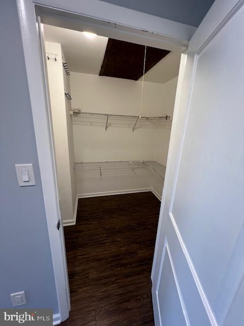 Building Photo - 79 Tarragon Ct