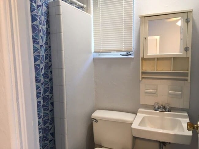 Photo - 503.5 E. Amelia Street Apartment