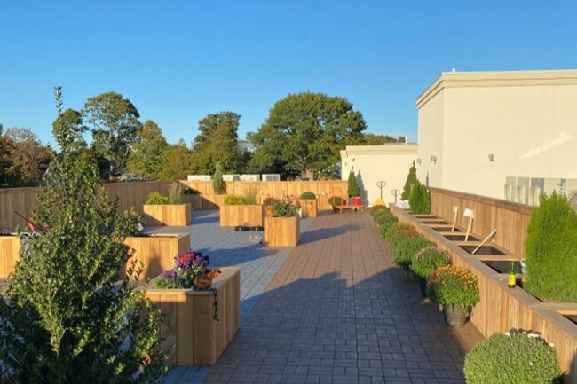 Terraza comunitaria en techo - Weston Park