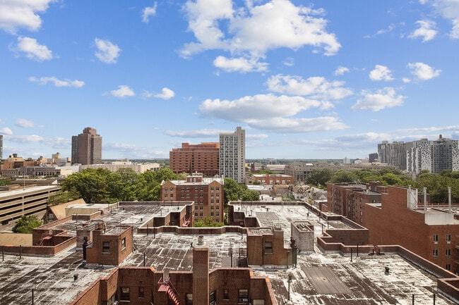 Interior Photo - MODA