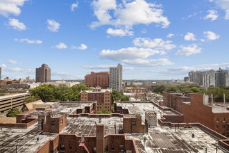 Interior Photo - MODA