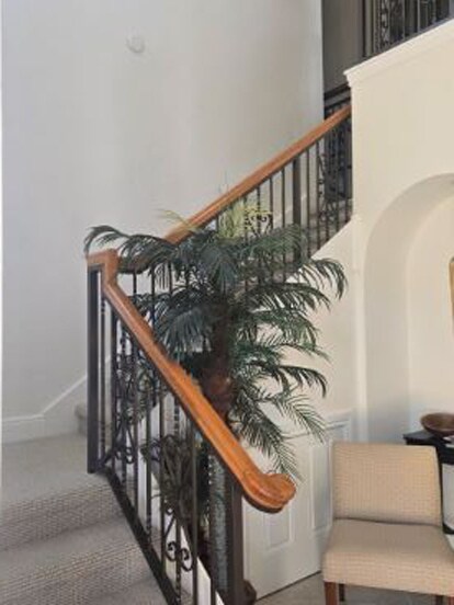 Foto del edificio - 9142 Cherry Oaks Ln