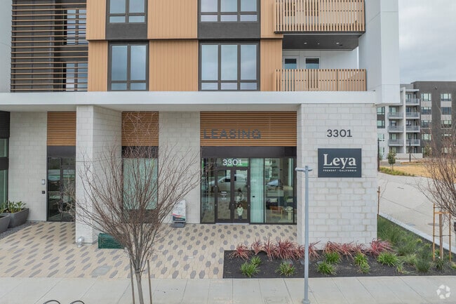 Entrance - Leya