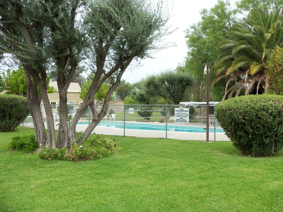 Piscina comunitaria - 150 E Lakeshore Dr