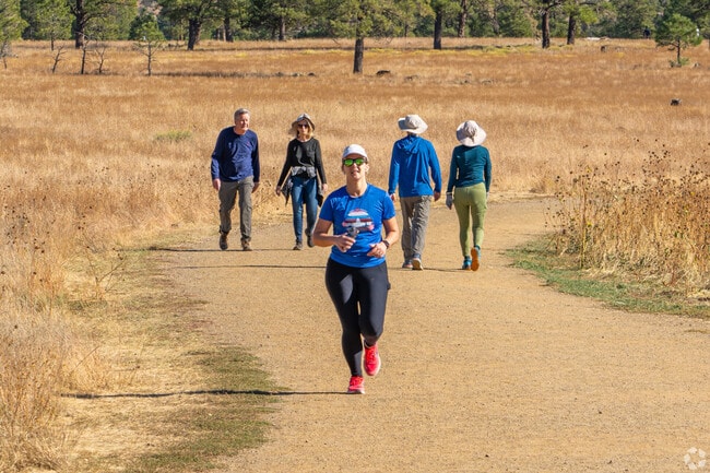 Hiking trails can be found through Flagstaff including the Forest Highlands area.