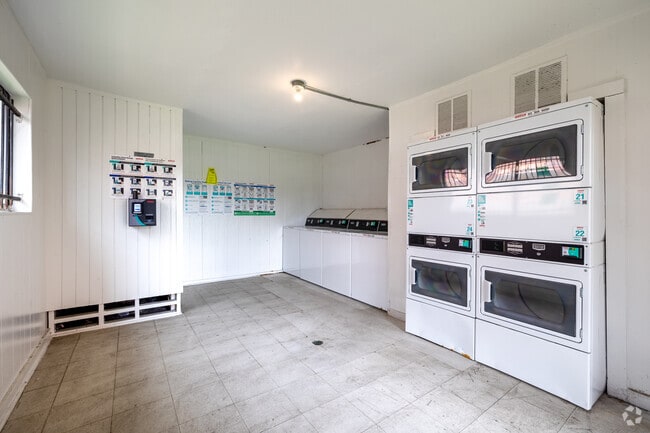 Lavandería - Tara Hall