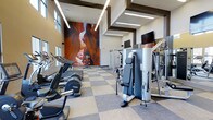 This fitness center offers a thoughtfully designed workout environment that combines functionality with striking visual appeal. The space features soaring ceilings with a bold geometric coffered design and sleek linear LED lighting, contributing to an open, energizing atmosphere. Large windows along one wall allow generous amounts of natural light to fill the room, enhancing the overall sense of spaciousness.

A dramatic floor-to-ceiling mural depicting a vivid red rock canyon serves as the room's focal point, adding a dynamic and inspiring visual element to the workout environment. The flooring consists of a checkered pattern of neutral and textured carpet tiles, providing both durability and a polished aesthetic.

The facility is well-stocked with a diverse range of equipment, including treadmills, elliptical trainers, and a variety of strength training machines arranged to maximize usability and traffic flow. Multiple wall-mounted flat-screen televisions are positioned throughout the space for entertainment during workouts. The overall design strikes a balance between modern architectural detail and practical fitness functionality.