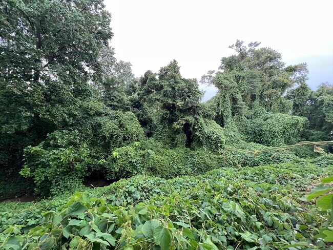 Foto del edificio - 209 Unicorn Pl