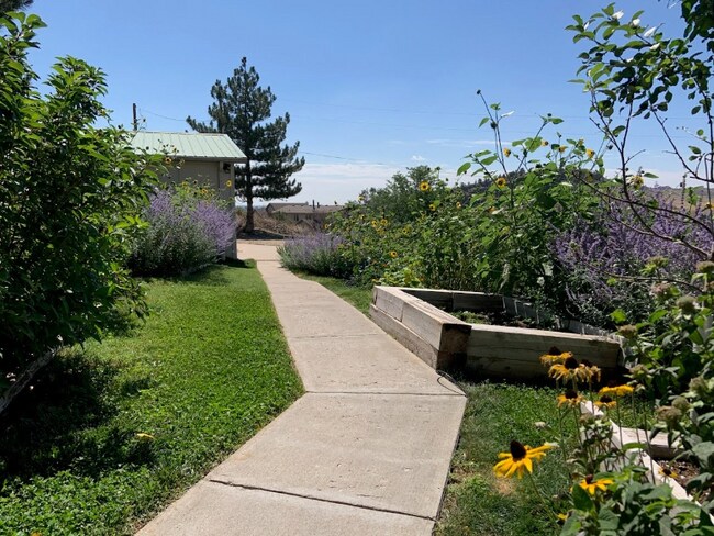Building Photo - 2908 Black Fox Run Ln