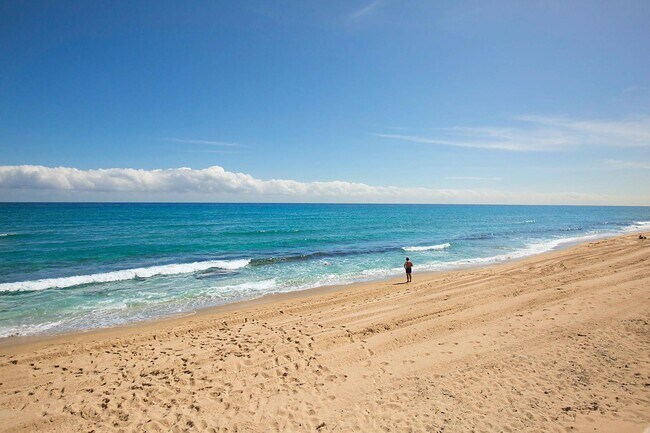 Foto del edificio - 4505 S Ocean Blvd