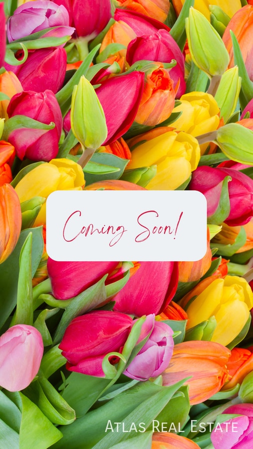 Building Photo - 1030 W Moorpoint Dr