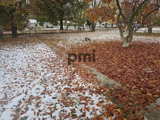 Photo - 303 S Fleming St House