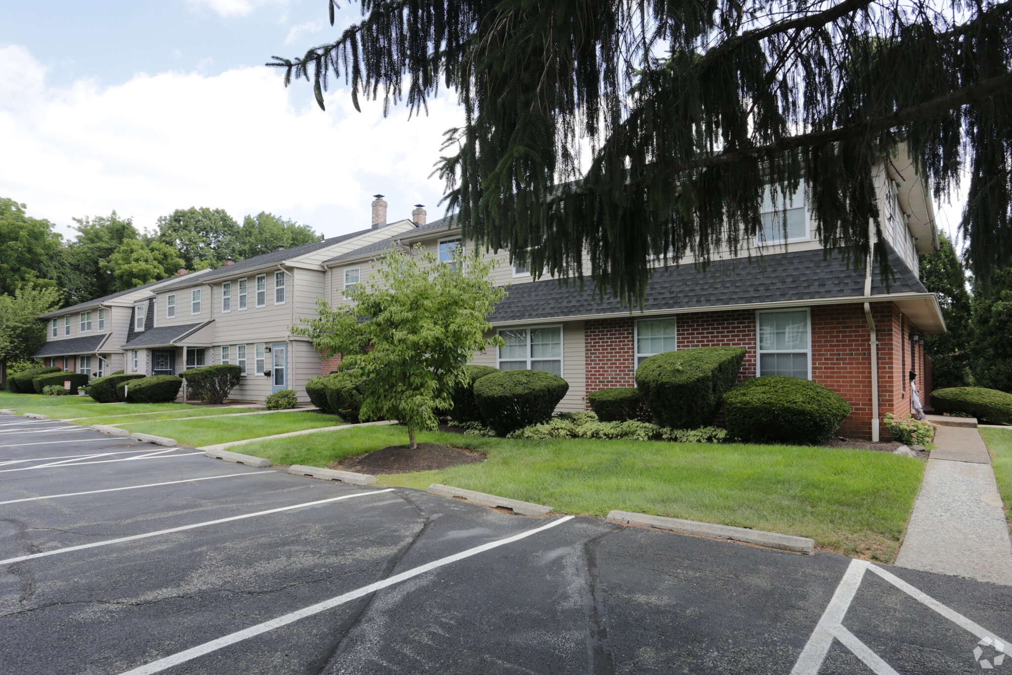 Bridle Path Apartments photo 5