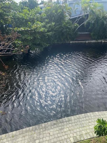 Foto del edificio - 578 NE 20th St