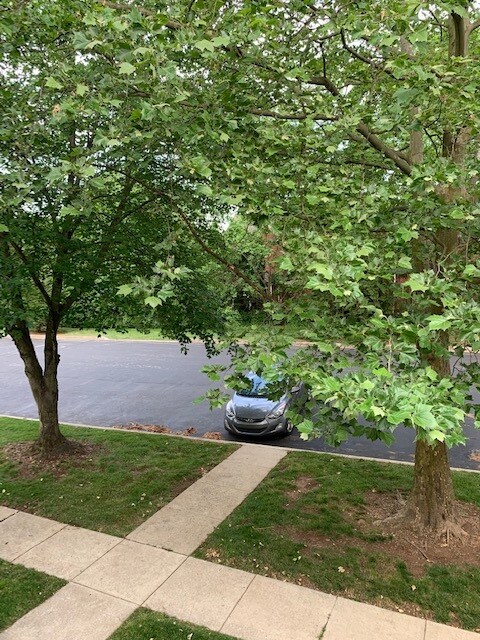 Foto del edificio - 614 Foxcroft Cir
