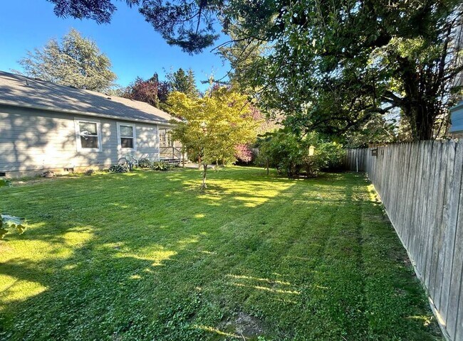 Backyard - 303 Nooksack Ave