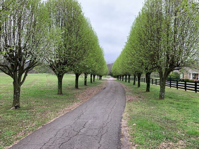 Building Photo - 5000 Square Feet on 7 Acres in Heart of Franklin