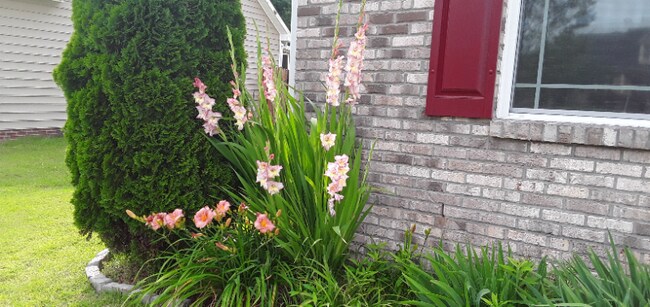 Foto del edificio - 5833 Kindley Dr