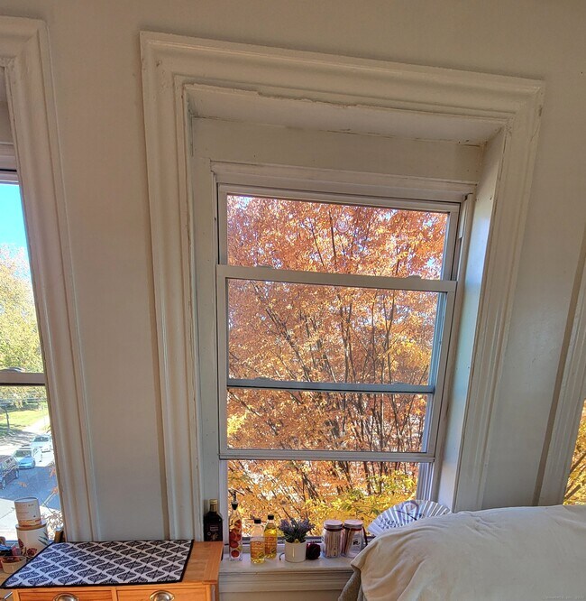 Foto del edificio - 255 Main St