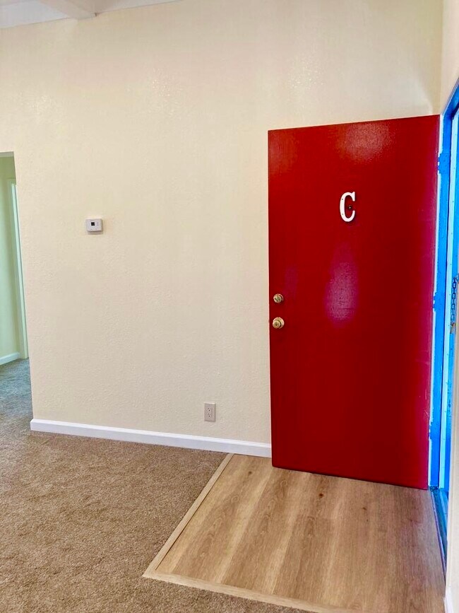 Foto del edificio - 907 Sharmon Palms Ln