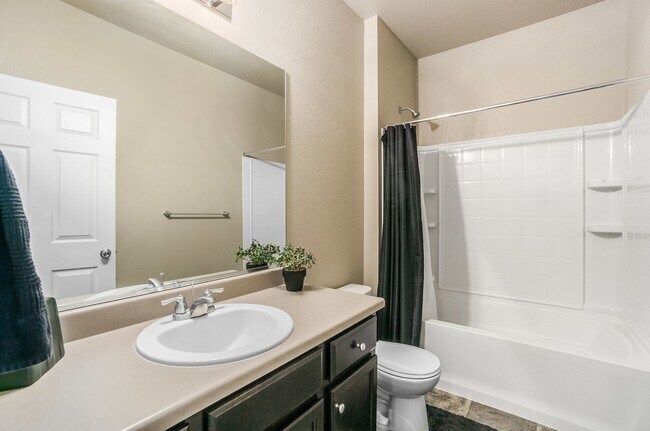 Foto del edificio - 3 Bedroom Ranch in Timnath Colorado