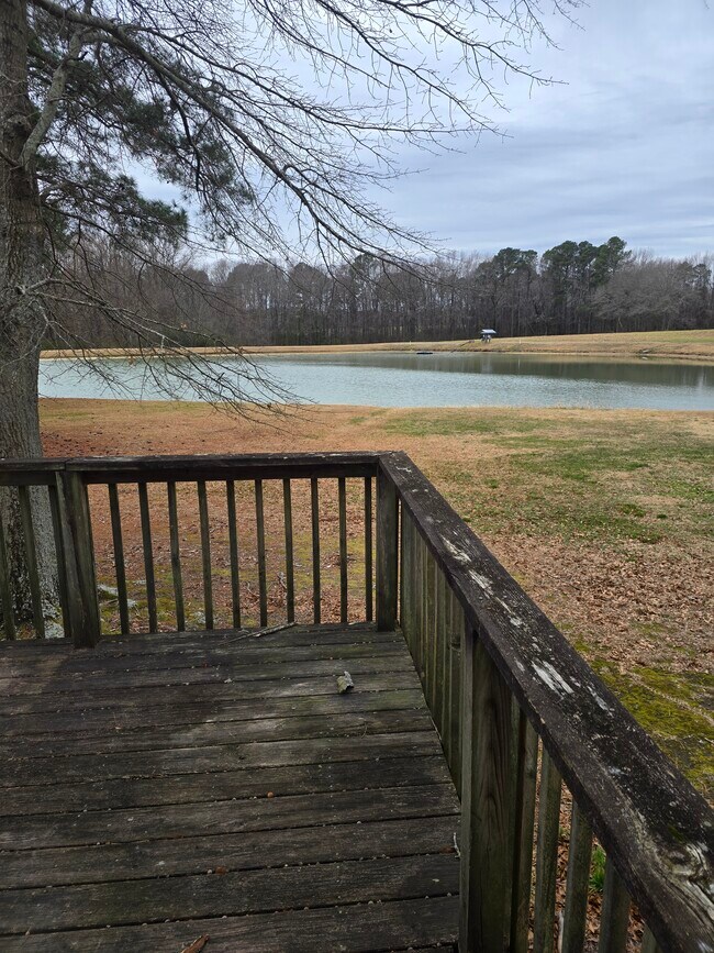 Cubierta trasera - 884 Matthews Mill Pond Rd