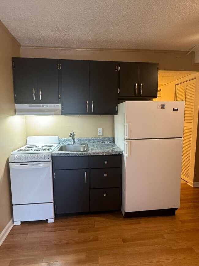 Building Photo - Leasing for 2024-2025! $1125 per month! Un...