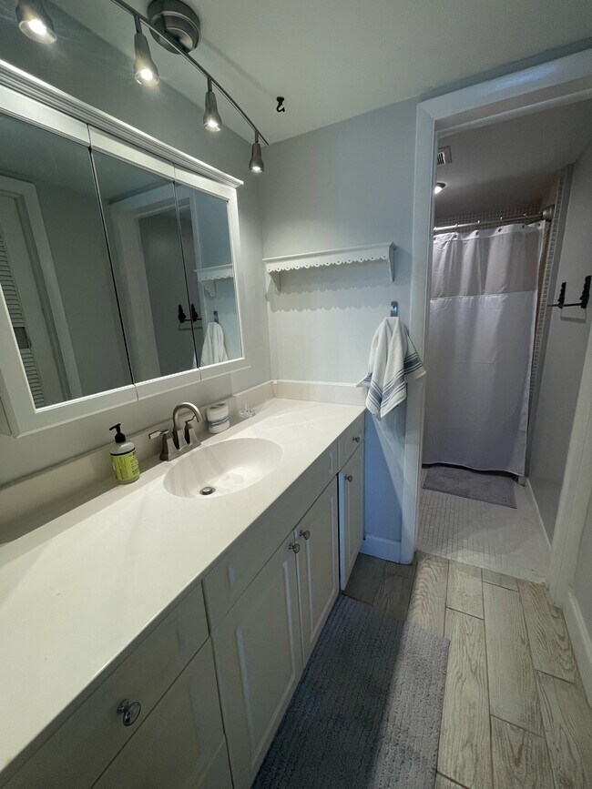 Main bath - 410 Wilma Cir