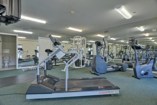 Gimnasio - Baytree Apartments