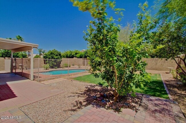 Building Photo - 1674 W Macaw Dr