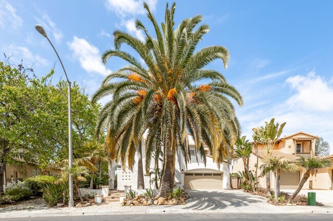 Building Photo - 6213 Paseo Privado