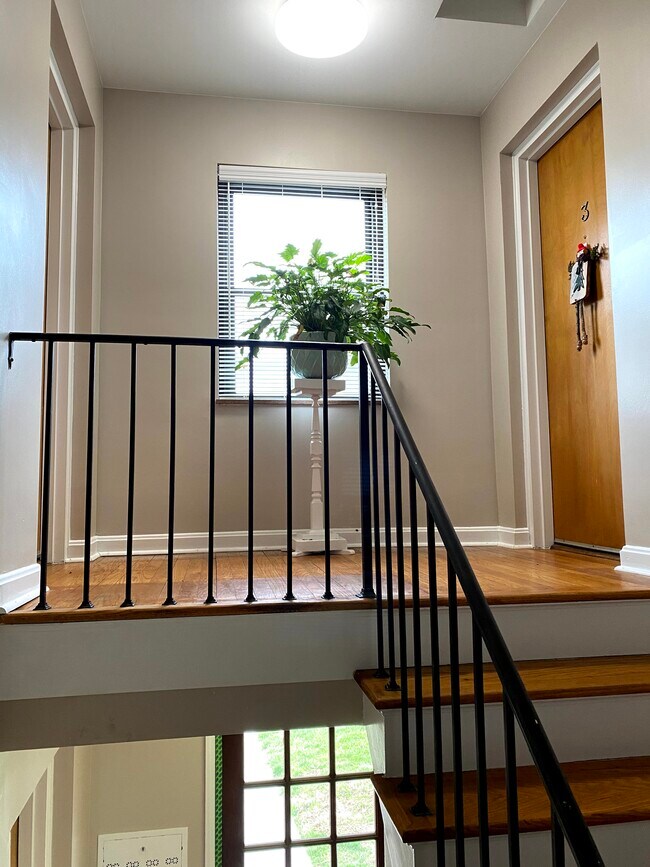 Hallway - 1932 Lehigh Ave