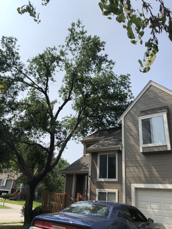 Building Photo - 8927 Hauser St