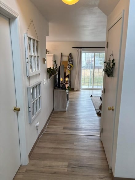 Building Photo - 557 Karcio Ct