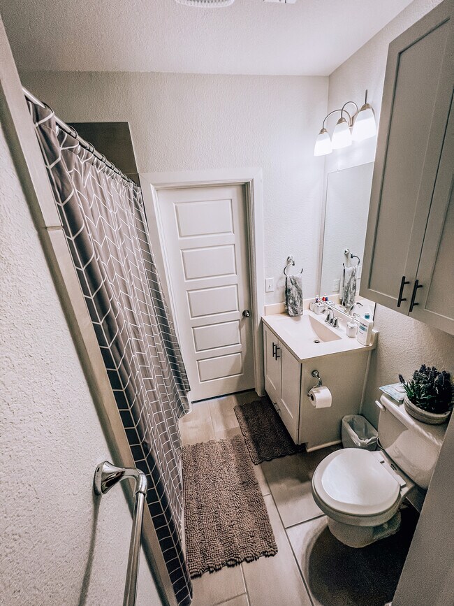 Bottom floor full bathroom - 1047 Tea Olive Ln