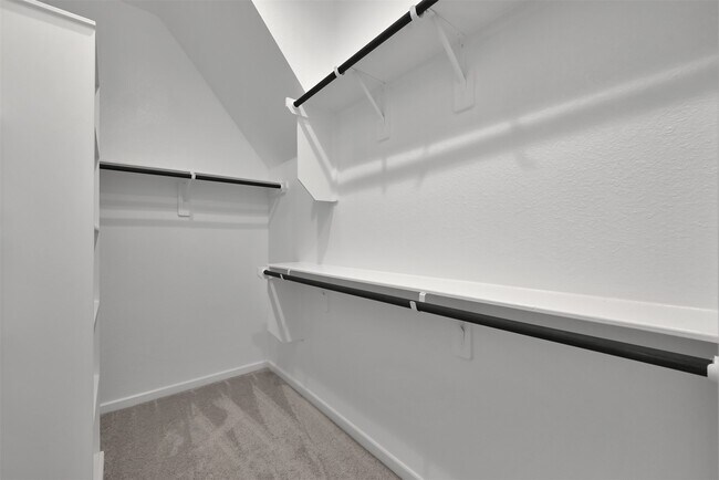 Foto del edificio - 543 Longleaf Pine Dr
