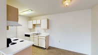 This single-floor, one-bedroom, one-bathroom unit offers a practical and efficient layout designed to maximize its available square footage. The open-concept living and dining area is carpeted and anchored by a striking black-framed fireplace, creating a focal point that adds warmth and character to the space. A large sliding glass door floods the living area with natural light and provides outdoor views, enhancing the overall sense of openness.

The galley-style kitchen is efficiently arranged with white cabinetry featuring light wood trim lining both sides, offering generous upper and lower storage. White appliances, including a coil-burner range and full-sized refrigerator, are included alongside a stainless steel sink and dishwasher. Wood-look vinyl flooring runs throughout the kitchen, transitioning to carpet in the living areas.

The bedroom is a well-proportioned, carpeted room with a window that allows natural light to filter in. The full bathroom features a white vanity with integrated sink and storage drawers, a large mirror with overhead lighting, and a clean, functional design. Overall, the unit maintains a neutral, light color palette throughout, creating a bright and versatile living environment.