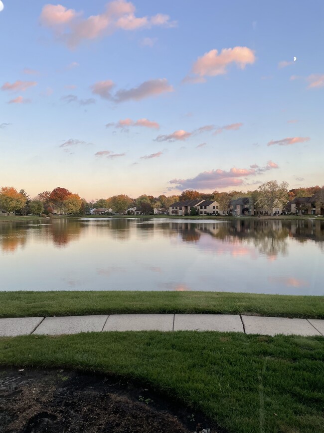 Foto del edificio - 149 Birchfield Ct