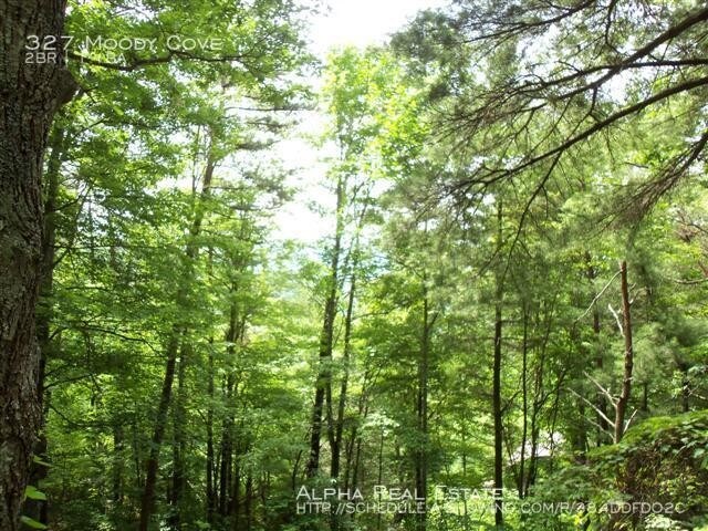 Foto del edificio - 2 bedroom in Weaverville NC 28787
