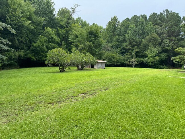 Foto del edificio - Beautiful private oasis located in Pamlico County