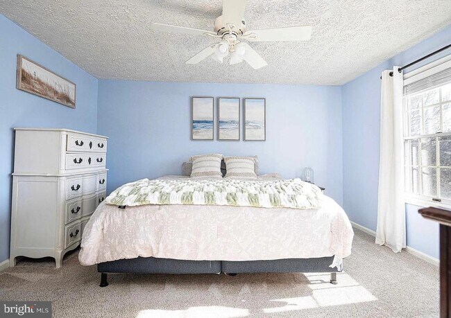 Foto del edificio - 133 Spruce Woods Ct