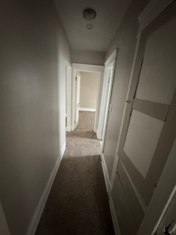 11130 Continental Ave Cleveland, OH 44104 – photo 5